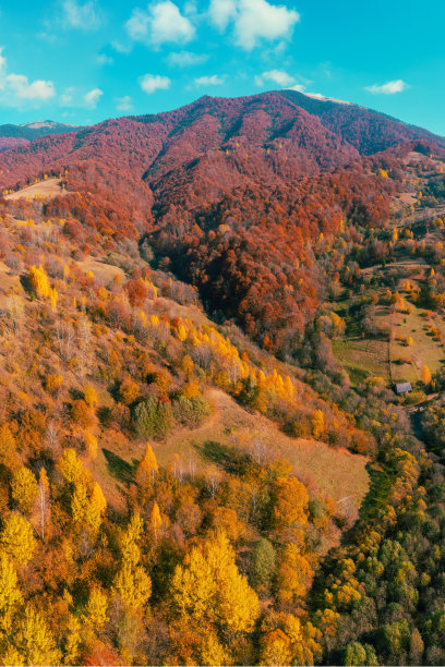 阳光明媚的秋日，从高处俯瞰五彩斑斓的山坡。美丽的风景。喀尔巴阡山脉，乌克兰。竖版照片图片下载