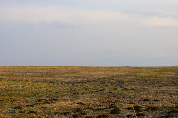 这张照片展示了一个广阔的乡村风景，包含一片田野和天空。田野呈棕色，点缀着绿色的斑块，一直延伸到地平线。天空是灰色的，飘着白云。图片下载