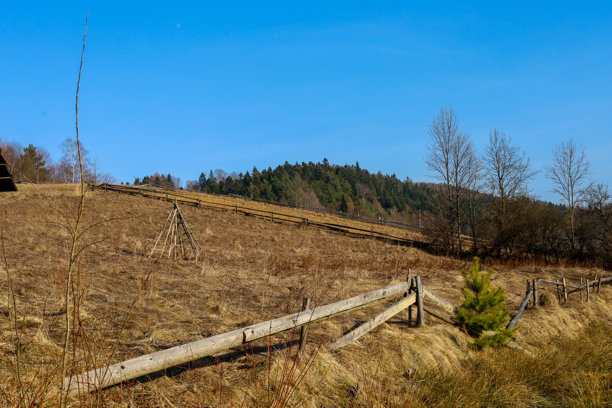 这张照片展示了一个乡村风景，山丘上覆盖着干草，沿着山丘延伸着一排木栅栏。栅栏由未经处理的木材制成。背景中可以看到山顶上的森林和蓝天。图片下载