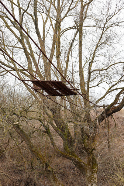 这张照片展示了一座悬挂在人树之间的行人桥的遗迹。可以看到一个带有黑色板材的金属结构，悬挂在树枝之间的电缆上。图片下载
