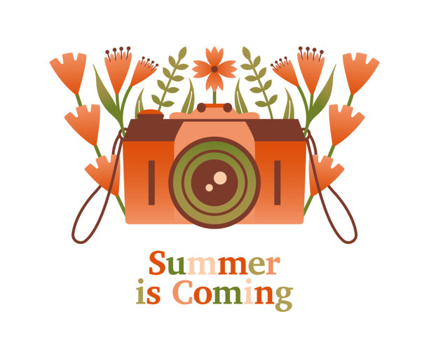 夏天来了。旧相机与夏季植物和野花。可爱的矢量插图，展示了模拟摄影设备和复古器材。扁平设计。度假，享受大自然的放松时光。图片下载