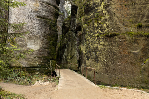 捷克共和国阿德尔斯帕赫的岩石城市。砂岩纹理，阿德尔斯帕赫-特普利采国家公园的岩石。高质量照片。自然背景。图片下载