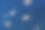 美丽的野生鱼类（海金鱼）在蓝色海洋中游泳的照片图片下载