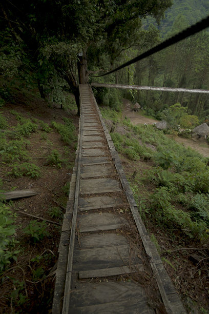 云雾森林中的木桥美丽照片图片下载