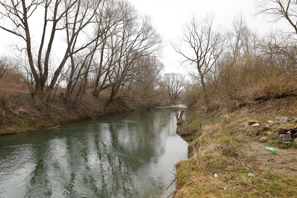 这张照片描绘了一条宁静的河流穿过树林。河水呈现出绿色灰色的色调，映衬着阴云密布的天空。图片下载