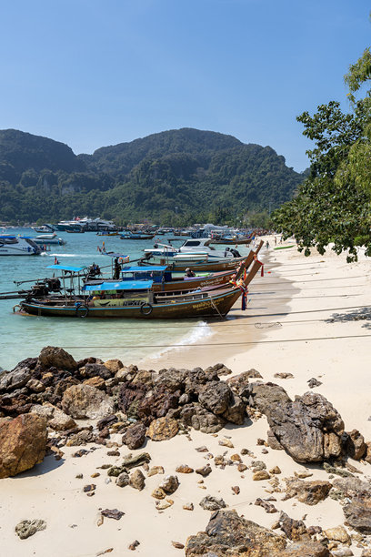 长尾船停靠在泰国安达曼海的克拉比省皮皮岛的海滩上。竖版图片图片下载