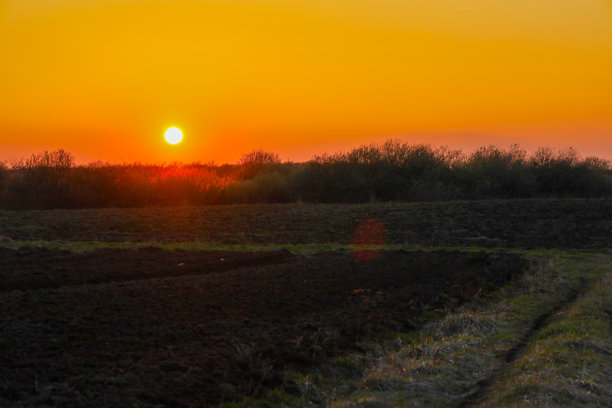 这张照片描绘了乡村风景下的绚丽日落。落日呈现为橙色天空中的明亮白色圆球。图片下载