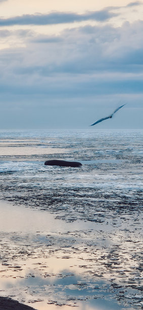 宁静的冰块在日落时分映照在平静的海洋水面上。竖版照片图片下载