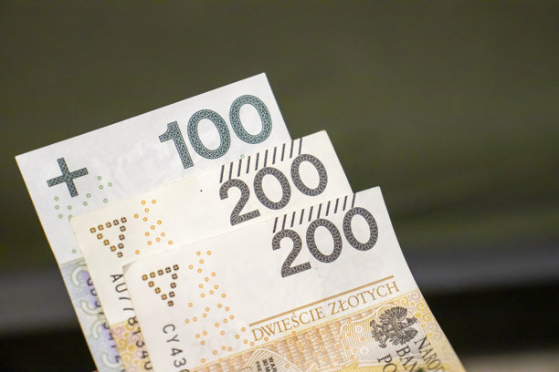 波兰纸币特写照片，展示100和200兹罗提纸币。非常适合金融概念、货币讨论和经济主题。图片下载