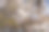 春季三月至四月盛开的白色樱花特写照片图片下载