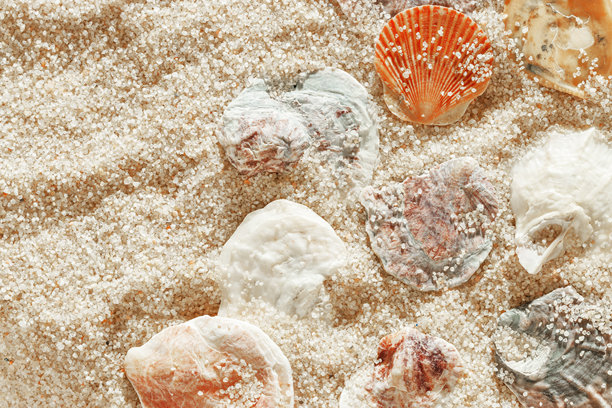 米色沙滩上的极简美学贝壳图案，自然海洋和夏季质感背景，夏季放松，俯视照片中有精致的柔和色彩贝壳，休闲海滩壁纸图片下载