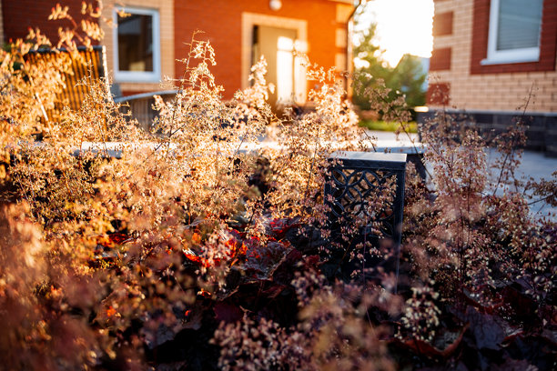 这张图片展示了一栋略微模糊的迷人房屋，装饰着五彩缤纷的花朵，营造出一种温暖宜人的氛围，让观者感受到舒适和快乐。图片下载