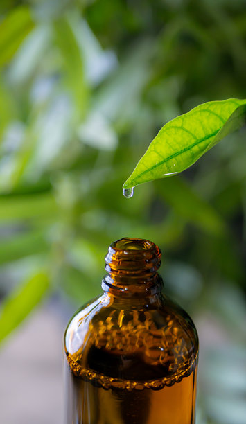 草本精华精华液从新鲜叶子滴入瓶中。来自叶子的有机精油。图片下载