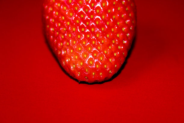 红色背景上的成熟多汁草莓的极简主义照片图片下载