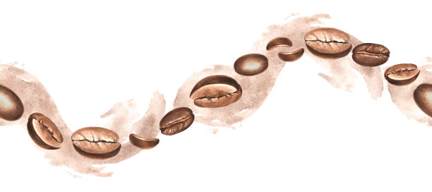 烘焙咖啡豆与颜料飞溅。波浪形无缝边框。水彩手绘插图，独立展示。阿拉比卡果实的种植收获。香气饮品的原料。食品设计模板。图片下载