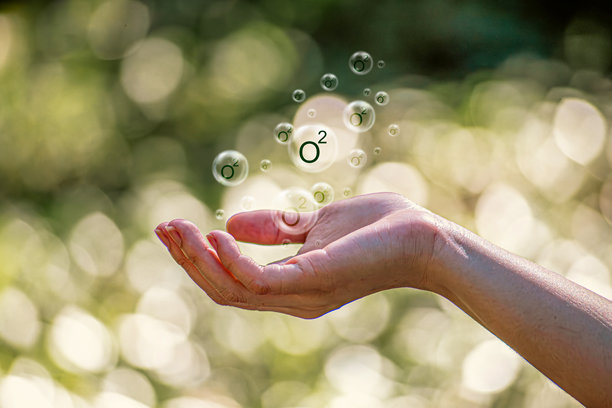 O2图标的概念，象征植物产生氧气作为新鲜空气。绿色植物的微距照片。植物释放氧气，伴随O2图标气泡的插图。图片下载