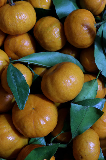 一堆新鲜的橙子照片图片下载