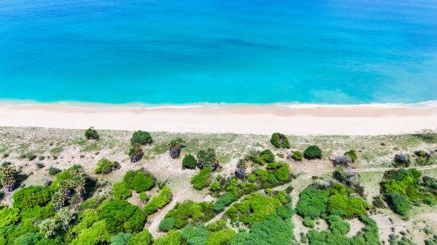 海滩的航拍照片，柔软的沙滩和清澈的蓝色海水。夏季背景和夏季假期概念。图片下载