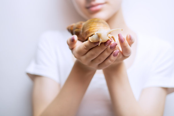 一个指甲油美丽的女孩正在握着一只大型的阿哈提娜蜗牛。宠物的特写照片。图片下载
