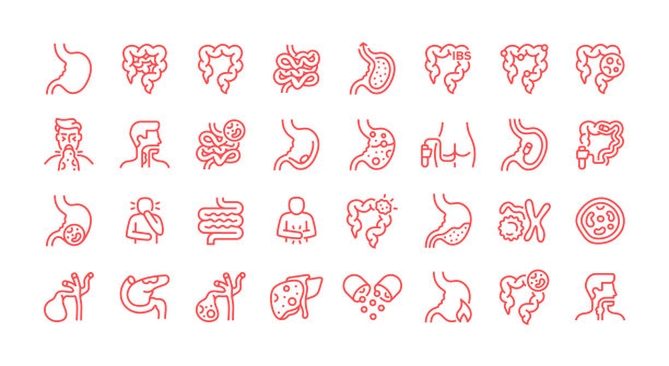 胃肠病学线条图标集。物体组。胃、肠道、结肠镜检查、内窥镜检查、结肠癌、大肠、小肠、溃疡。图片下载