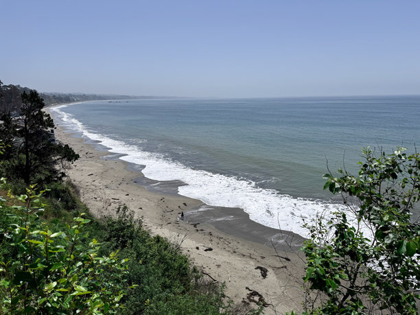 海岸的海洋图片，背景有植物和绿色景观图片下载