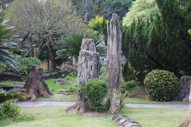 儿童公园内的大树桩和木雕的照片，位于热带雨林花园景观设计中，配有石头小径。图片下载