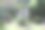 儿童公园内的大树桩和木雕的照片，位于热带雨林花园景观设计中，配有石头小径。图片下载
