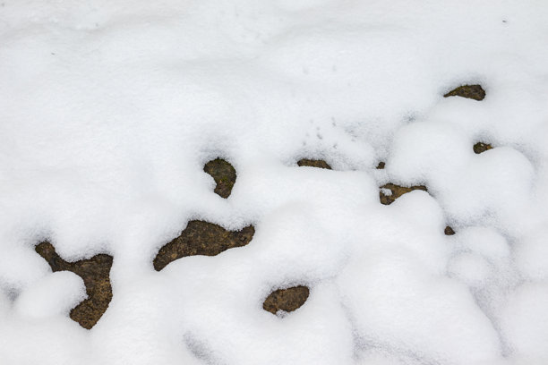 一张非常特写的照片，展示了覆盖着一层薄薄新雪的地面，雪融化的地方露出了黑色土壤的斑块。图片下载