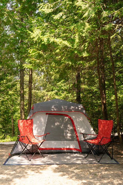 深林中宁静的露营地的竖直照片，帐篷在高耸的树木和郁郁葱葱的绿意中搭建。图片下载