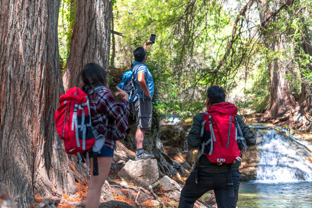 徒步旅行者在郁郁葱葱的森林中拍摄瀑布照片图片下载