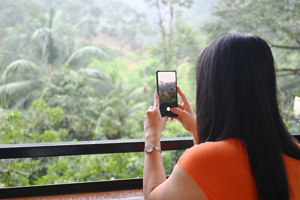 女人拿着智能手机拍摄森林的照片图片下载