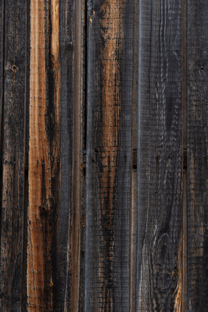 未经处理的木板背景。适合您照片的木纹纹理。垂直的乡村风格背景。图片下载