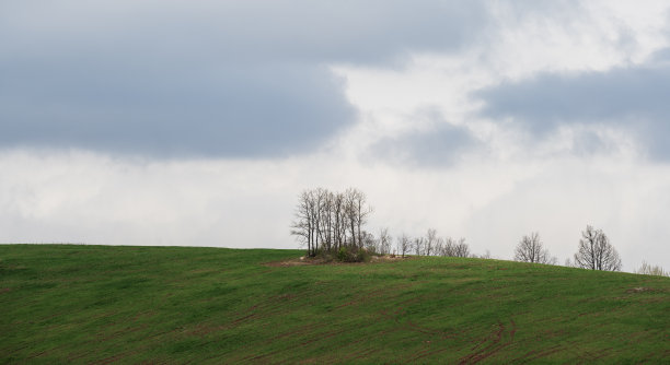 开阔的风景。草地上的风景照片，顶部有一棵树，背景是雨云。山上的树。草地上的一棵树。田野中的树。图片下载