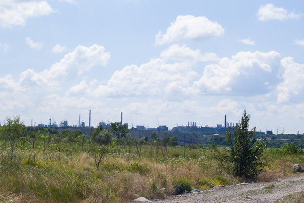 这张照片展示了一个工业景观。前景是野生自然，背景是一个工业综合体。天空是蓝色的，飘着白云。图片下载