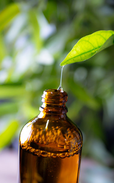 草本精华精华液从新鲜叶子滴入瓶中。来自叶子的有机精油。图片下载
