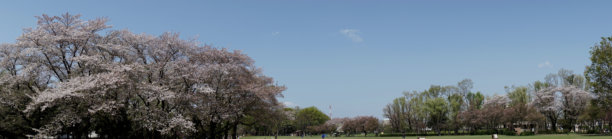 公园的全景照片图片下载