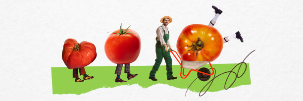 带有人腿的番茄排成一行走在微笑的农民旁边，农民正在推着一个巨大的番茄在手推车里。这是一幅当代艺术拼贴画，体现了农业的概念。图片下载