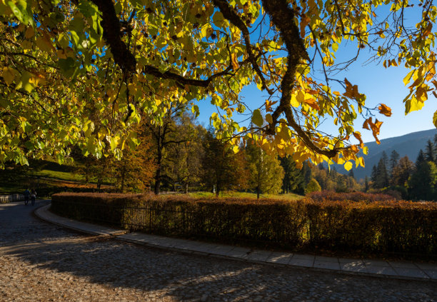 皇家花园：佩雷城堡的魔法庭院图片下载