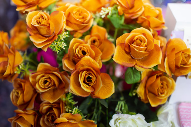 金黄色玫瑰特写照片图片下载