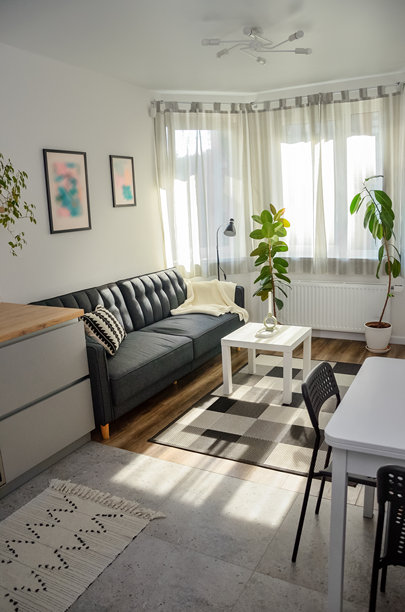 斯堪的纳维亚风格现代小公寓，白色和灰色调，客厅和厨房区域的家具，竖版图片图片下载