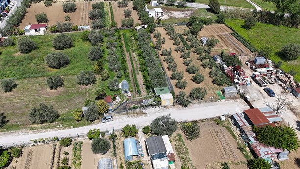 一张航拍照片展示了种植橄榄树的农田和住宅建筑。图片下载