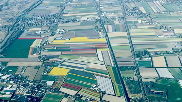 荷兰郁金香田的航拍照片。图片下载