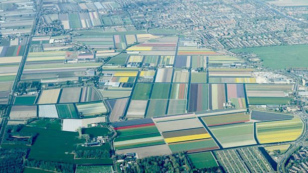 荷兰郁金香田的航拍照片。图片下载