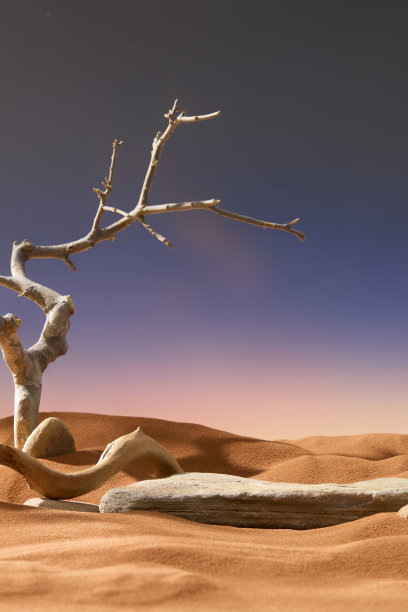 沙漠风景的竖版照片，灰色干枯树枝和蜿蜒的树根。平坦的岩石上布满小裂缝，置于沙子上。沙滩延伸至地平线，背景为日落。图片下载
