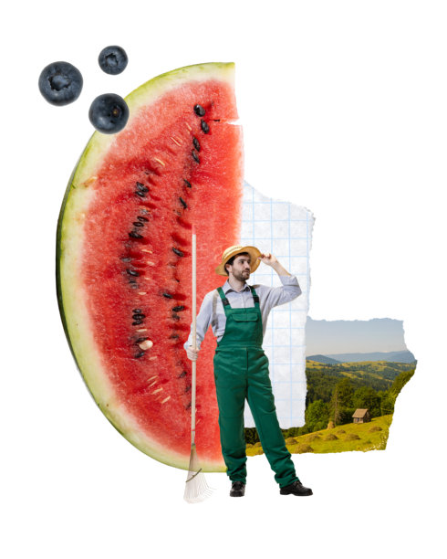 穿着绿色工装的农民站在巨大的西瓜旁边，周围漂浮着蓝莓。现代艺术拼贴画图片下载