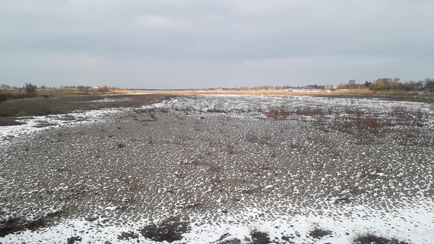 柔软的雪覆盖着开阔的田野，远处的树木勾勒出天地的界限。这张照片散发着宁静、开阔的空间，以及静谧的反思邀请——一口寒冷的空气和自由的感觉。图片下载