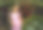 穿着淡紫色裙子的女孩在花园的一个神奇角落中，周围是灯光和花朵 - 股票照片。图片下载