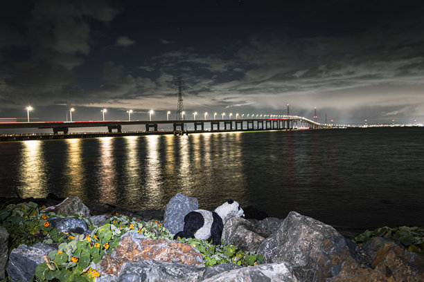 旧金山的奥克兰大桥景观股票照片图片下载