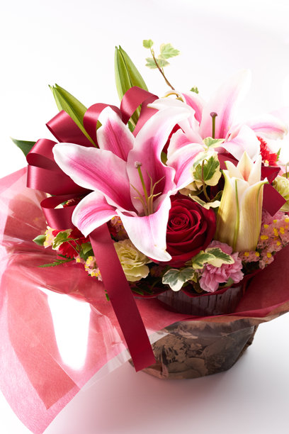 清新的粉色花束图片图片下载