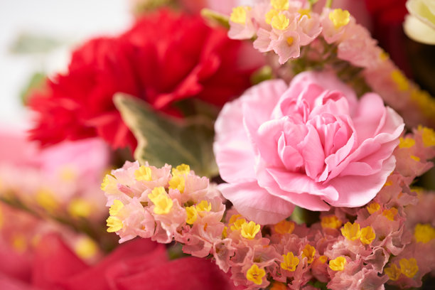 清新的粉色花束图片图片下载